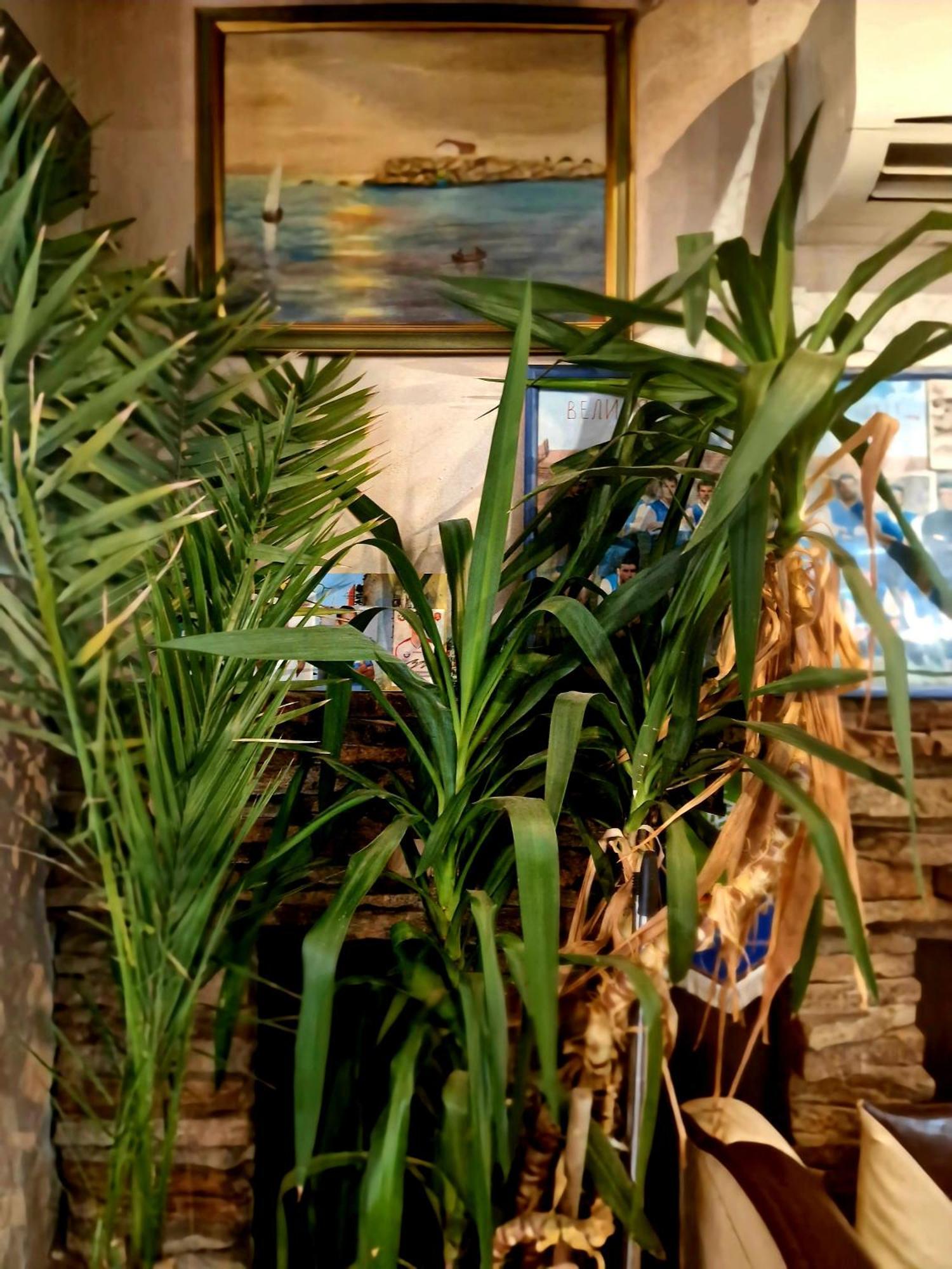 Family Hotel Four Seasons Царёво Экстерьер фото
